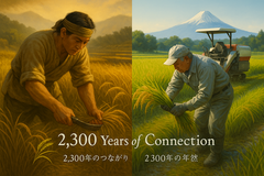 [History Lives On – Gojoseon] Episode 17: The Spread of Gojoseon Culture – Influence on Japan’s Yayoi Civilization