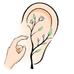 [귀반사웰니스 10편] Safe At-Home Auriculotherapy Self-Care