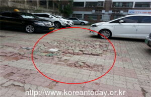 양천구 내 장애인전용주차구역 모니터링 결과 발표