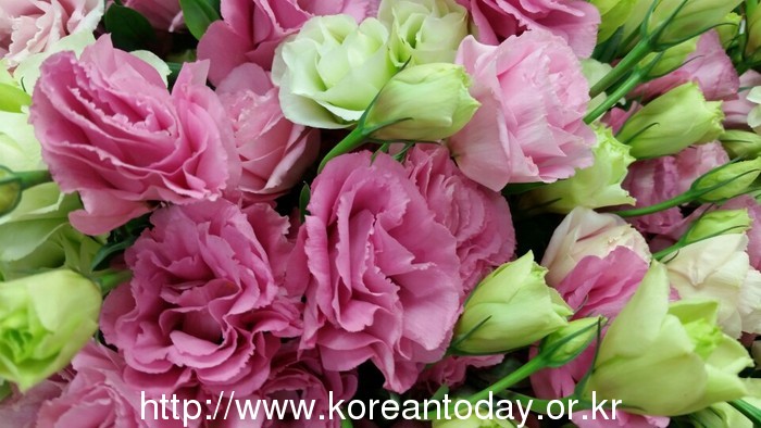 마음을 전할 땐 양재동화훼공판장 유진꽃방을 이용하세요!