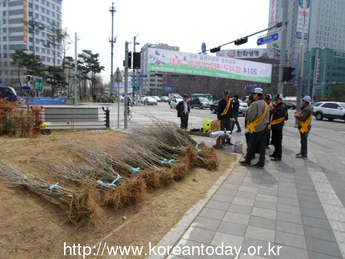 거리 꽃길 가꾸기… 2억원 아낀 비결은?