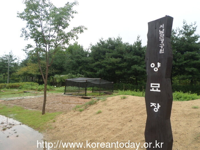 거리 꽃길 가꾸기… 2억원 아낀 비결은?