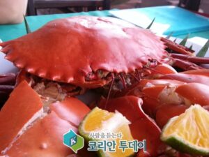 때 이른 더위, 음식물 섭취·관리 주의