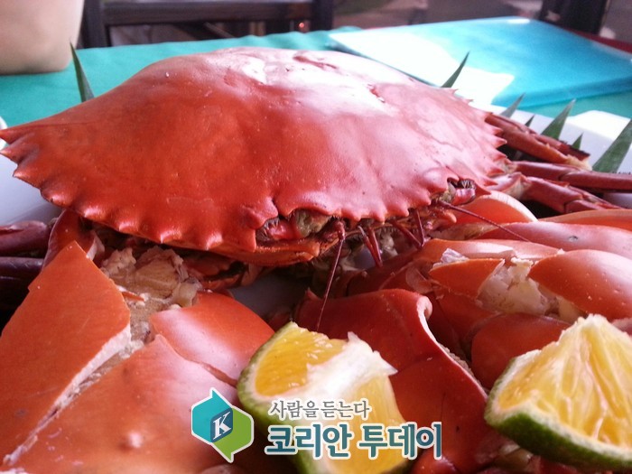 때 이른 더위, 음식물 섭취·관리 주의