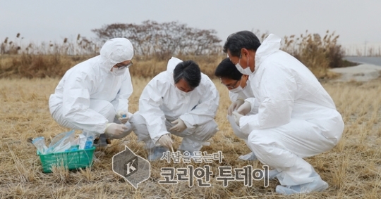 “올겨울 2가지의 고병원성 H5N6형 조류인플루엔자(AI) 변이 바이러스 국내에 동시 유입”
