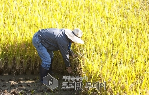 농림축산식품부…. ‘친환경농업직불금’ 6년만에 인상