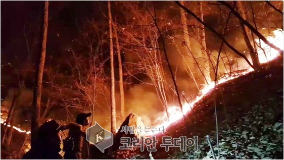 부산 삼각산 불 … 소방당국 “100㏊ 피해 추정”