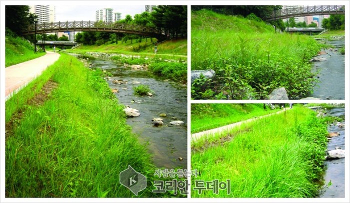 서울시, 우기전 중랑천 등 17곳 퇴적토 퍼낸다