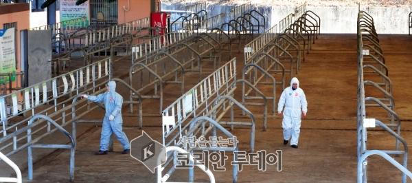 ‘구제역 확산 차단’ 가축시장 폐쇄 23일까지 연장