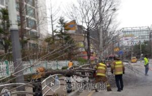 밤새 초속 20m 강풍에 시설물 떨어져 합판에 맞은 80대 사망