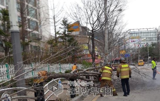 밤새 초속 20m 강풍에 시설물 떨어져 합판에 맞은 80대 사망