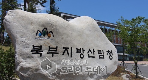 북부산림청 산림사범수사팀 상반기에만 197건 불법 적발