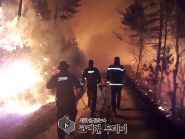 ‘역대 최대 폭염’ 여름철 산불 발생 작년 10배 증가