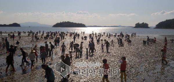 1만9000여명 즐긴 여수 여자만 갯벌노을 체험행사