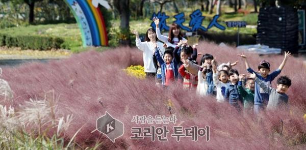 내 얼굴 같은 국화