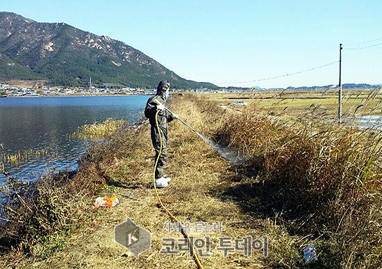 전남동물위생시험소, AI 방역예찰검사 강화