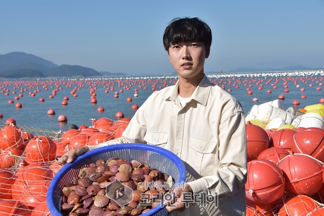 고흥, 홍가리비 어민소득의 보고(寶庫)로 각광