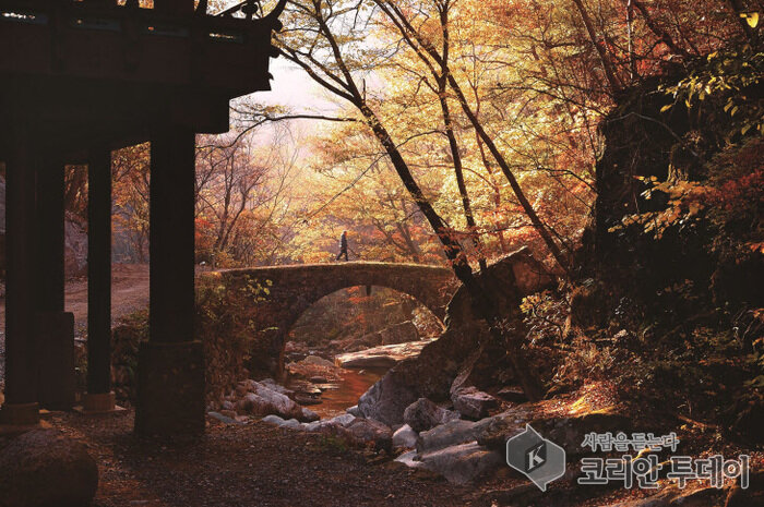 전남도,순천 선암사해남 대흥사서 가을 정취 즐기세요