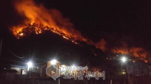 양양 산불 이틀째 확산 … 주민 300명 대피