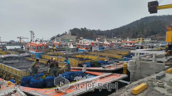 진도군, 양식수산물 재해보험 가입하세요