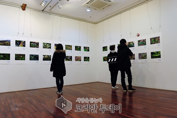 완도수목원 자생식물 사진 전시회 개최