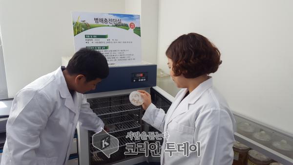 고흥군, 벼 안전육묘 위한 종자 발아력 검사 무료지원
