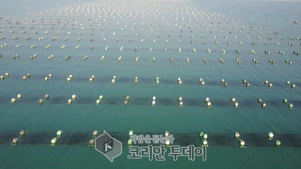 진도군, 농·수산소득 7년만에 213% 늘어