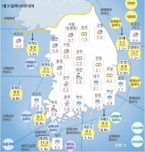 국민안전관리 일일상황 [2019년 1월 31일]