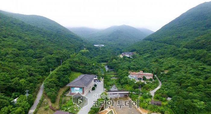 설 연휴 완도수목원 난대숲서 힐링하세요