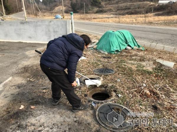 보성군, 동절기 월동모기 유충 없애 여름철 감염병 예방 나서