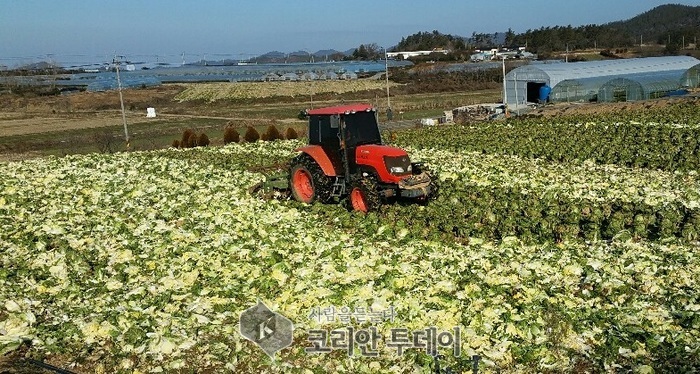 전남도의회, 정부에 ‘노지채소 가격 폭락’ 대책 마련 촉구