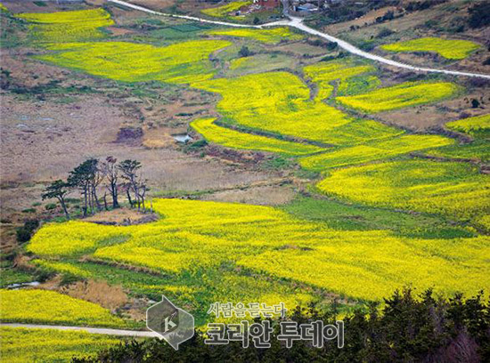 봄꽃보다 아름다운 섬 7선에 전남 3곳