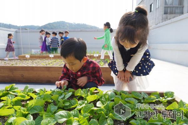 동구, 내남동에 농업체험관광 공간 만든다
