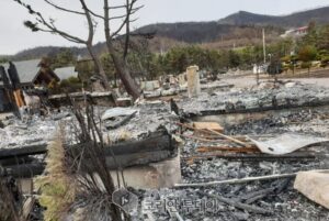 강원도 고성 산불 피해 이재민을 돕기 위한 모금은 100억원을 돌파