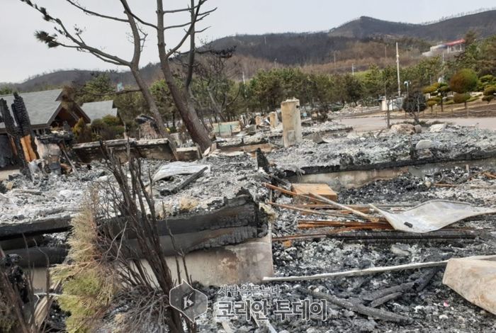 강원도 고성 산불 피해 이재민을 돕기 위한 모금은 100억원을 돌파