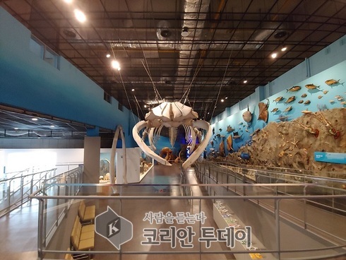 땅끝해양자연사박물관 5월 3일 개관