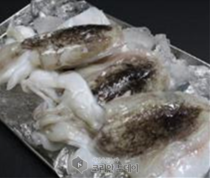 쫄깃한 갑오징어바다의 여왕 참돔 맛보세요
