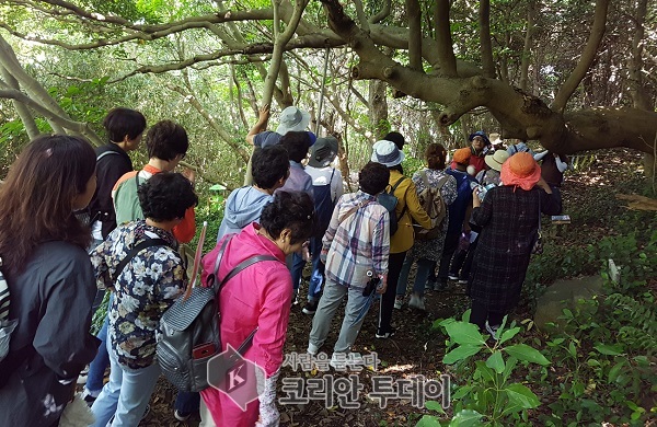 고흥군,‘시’가 있는 쑥섬 여행