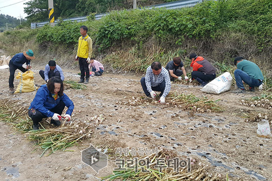 귀농귀어귀촌, 전국 감소 속 전남 모두 늘어