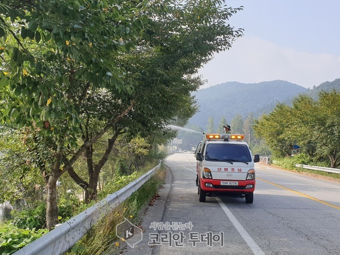 담양군, 미국흰불나방 등 돌발해충 방제 ‘총력’