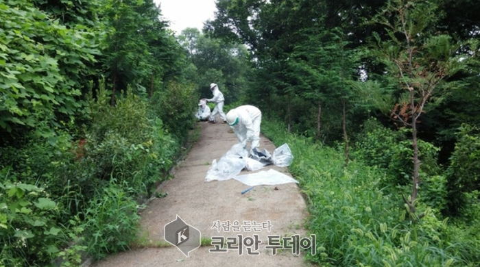 “벌초할 때 벌 조심하세요”…벌 쏘임 7~9월에 집중
