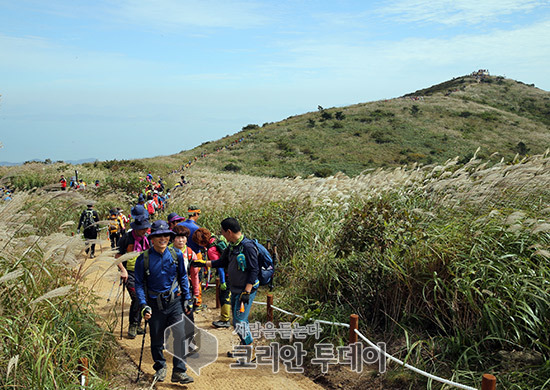풍성한 가을…‘남도에서 한 달 여행하기’ 신청하세요