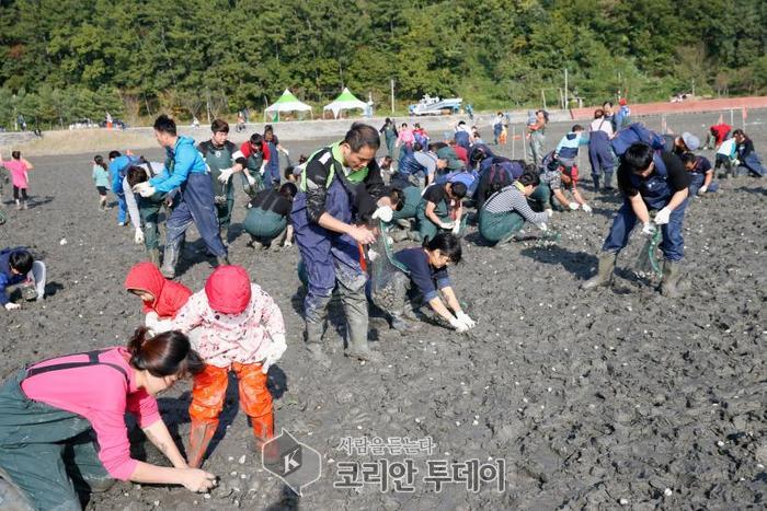 보성군, ‘제18회 벌교꼬막 & 문학제’ 오는 31일 개최