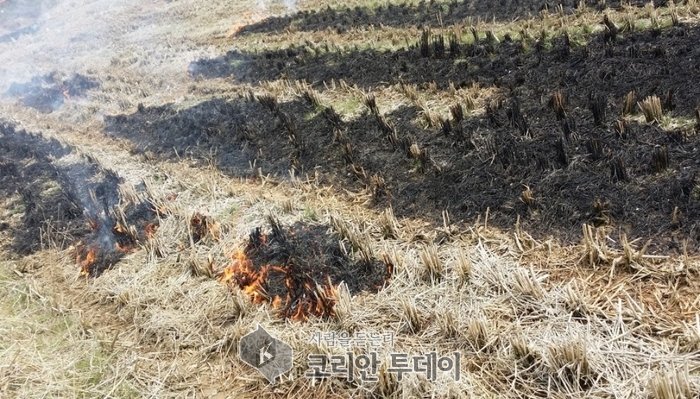 고흥소방서, 논두렁 소각 전 119신고 당부
