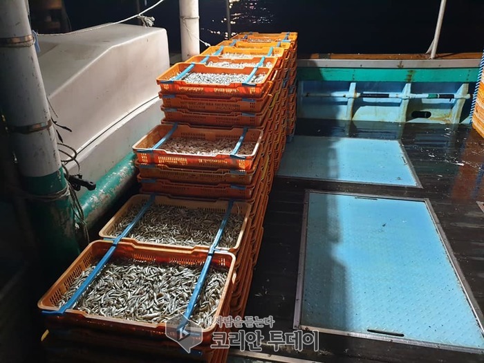 여수해경ㆍ 형사기동정,불법조업 선박과 음주운항 선장 적발