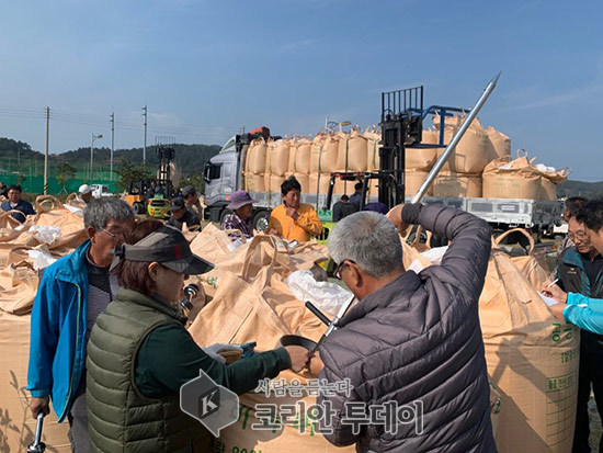 태풍 피해벼 매입량 늘어 쌀값 인상 견인