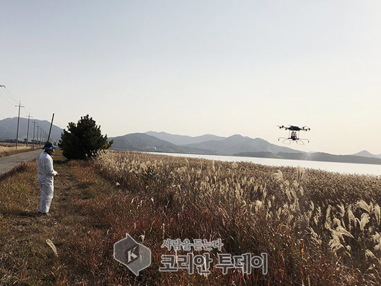 연말연시 철새 도래지 AI 차단방역 강화