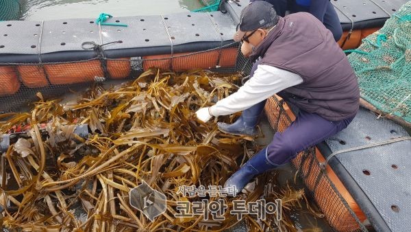 고흥군, 청년 어업인 육성 안정적인 정착에 큰 도움