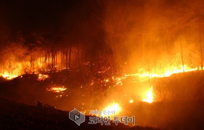 순천소방서, 임야화재 인명피해 저감대책 실시