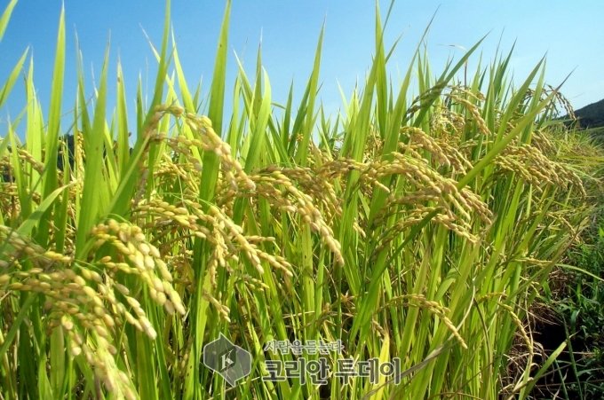 전남도, 청년농부 ‘친환경농업’ 적극적 선호